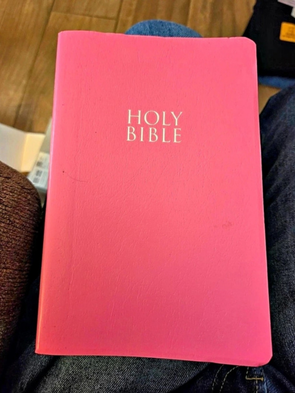 Zondervan NIV Holy Bible Soft Touch Edition Pink